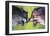 Clash Of The Alphas-Tanja Ware-Framed Giclee Print