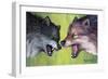 Clash Of The Alphas-Tanja Ware-Framed Giclee Print