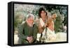 CLASH OF THE TITANS, 1981 directed by DESMOND DAVIS Burgess Meredith and Harry Hamlin (photo)-null-Framed Stretched Canvas