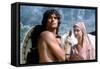 CLASH OF THE TITANS, 1981 directed by DESMOND DAVIS Harry Hamlin and Judi Bowker (photo)-null-Framed Stretched Canvas