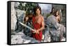 CLASH OF THE TITANS, 1981 directed by DESMOND DAVIS Harry Hamlin (photo)-null-Framed Stretched Canvas