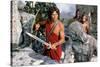 CLASH OF THE TITANS, 1981 directed by DESMOND DAVIS Harry Hamlin (photo)-null-Stretched Canvas
