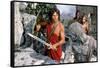 CLASH OF THE TITANS, 1981 directed by DESMOND DAVIS Harry Hamlin (photo)-null-Framed Stretched Canvas