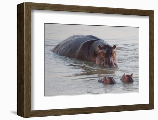 Class is in Session-Scott Bennion-Framed Photo