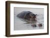 Class is in Session-Scott Bennion-Framed Photo