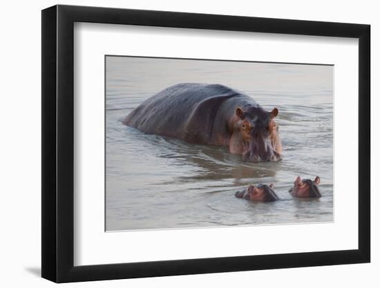 Class is in Session-Scott Bennion-Framed Photo