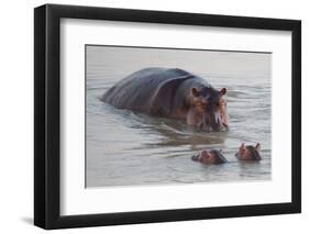 Class is in Session-Scott Bennion-Framed Photo