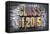 Class of 2015-enterlinedesign-Framed Stretched Canvas