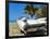 Classic 1959 White Cadillac Auto on Beautiful Beach of Veradara, Cuba-Bill Bachmann-Framed Photographic Print