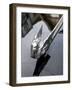 Classic American Automobile, Seattle, Washington, USA-William Sutton-Framed Photographic Print