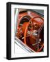 Classic American Automobile, Seattle, Washington, USA-William Sutton-Framed Photographic Print