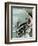 Classic American Automobile, Seattle, Washington, USA-William Sutton-Framed Photographic Print