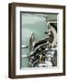 Classic American Automobile, Seattle, Washington, USA-William Sutton-Framed Photographic Print