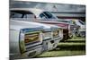 Classic American Automobile-David Challinor-Mounted Photographic Print