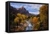 Classic Autumn View Zion National Park, Utah-Vincent James-Framed Stretched Canvas