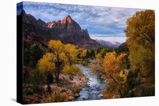Classic Autumn View Zion National Park, Utah-Vincent James-Stretched Canvas