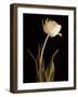 Classic Beauty-Charles Britt-Framed Giclee Print