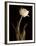 Classic Beauty-Charles Britt-Framed Giclee Print