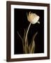 Classic Beauty-Charles Britt-Framed Giclee Print