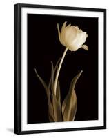 Classic Beauty-Charles Britt-Framed Giclee Print