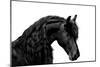 Classic Black I-Samantha Carter-Mounted Art Print