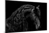 Classic Black II-Samantha Carter-Mounted Art Print