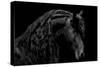 Classic Black II-Samantha Carter-Stretched Canvas