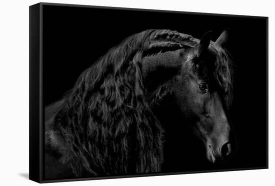 Classic Black II-Samantha Carter-Framed Stretched Canvas