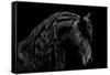 Classic Black II-Samantha Carter-Framed Stretched Canvas