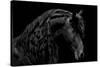 Classic Black II-Samantha Carter-Stretched Canvas