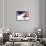 Classic Cadillac and American Flag-Bill Bachmann-Framed Stretched Canvas displayed on a wall