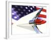 Classic Cadillac and American Flag-Bill Bachmann-Framed Photographic Print