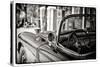 Classic Car - Chevrolet-Philippe Hugonnard-Stretched Canvas