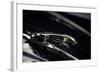 Classic Car-Nathan Wright-Framed Photographic Print