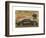 Classic Cars 2-Carlos Casamayor-Framed Art Print