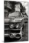 Classic Cars of Miami Beach-Philippe Hugonnard-Mounted Photographic Print