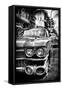 Classic Cars of Miami Beach-Philippe Hugonnard-Framed Stretched Canvas