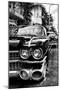 Classic Cars of Miami Beach-Philippe Hugonnard-Mounted Photographic Print