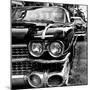 Classic Cars of Miami Beach-Philippe Hugonnard-Mounted Photographic Print