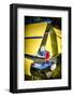 Classic Chevrolet Automobile Tail Fin-George Oze-Framed Photographic Print