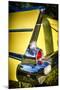 Classic Chevrolet Automobile Tail Fin-George Oze-Mounted Photographic Print