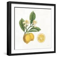 Classic Citrus I-Sue Schlabach-Framed Art Print