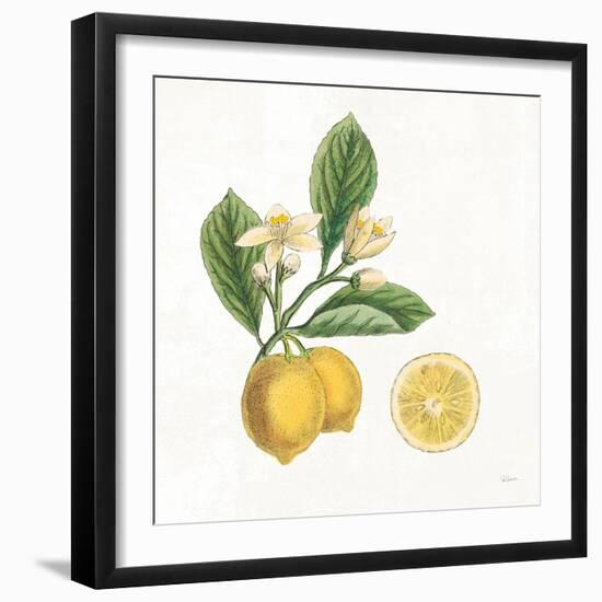 Classic Citrus I-Sue Schlabach-Framed Art Print