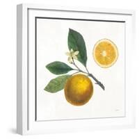 Classic Citrus II-Sue Schlabach-Framed Art Print