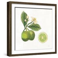 Classic Citrus III-Sue Schlabach-Framed Art Print