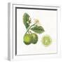 Classic Citrus III-Sue Schlabach-Framed Art Print