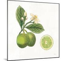 Classic Citrus III-Sue Schlabach-Mounted Art Print