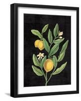 Classic Citrus V Black No Words-Sue Schlabach-Framed Art Print