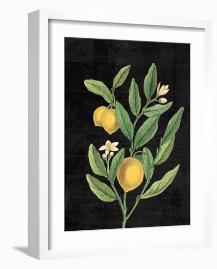 Classic Citrus V Black No Words-Sue Schlabach-Framed Art Print