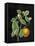 Classic Citrus VI Black No Words-Sue Schlabach-Framed Stretched Canvas